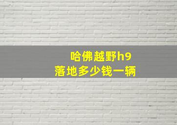 哈佛越野h9落地多少钱一辆