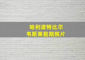 哈利波特比尔韦斯莱前期照片