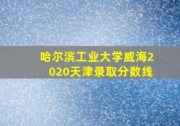 哈尔滨工业大学威海2020天津录取分数线