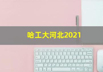 哈工大河北2021