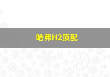 哈弗H2顶配