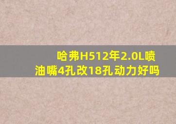 哈弗H512年2.0L喷油嘴4孔改18孔动力好吗