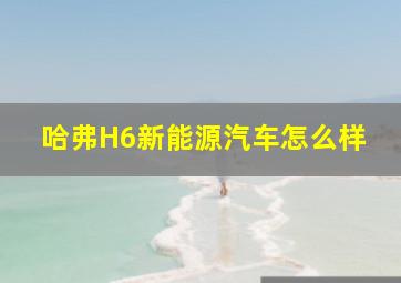 哈弗H6新能源汽车怎么样