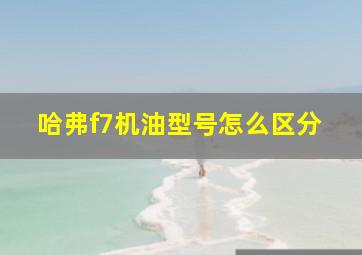 哈弗f7机油型号怎么区分