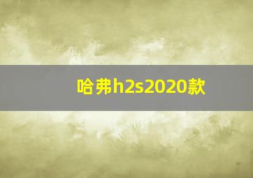 哈弗h2s2020款