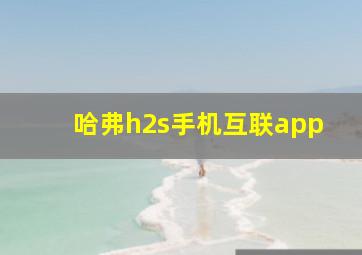 哈弗h2s手机互联app