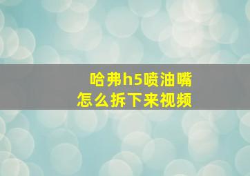 哈弗h5喷油嘴怎么拆下来视频