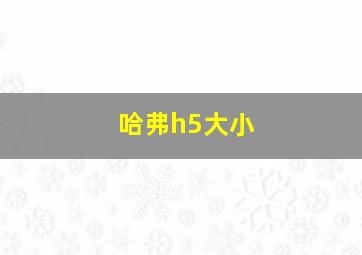 哈弗h5大小