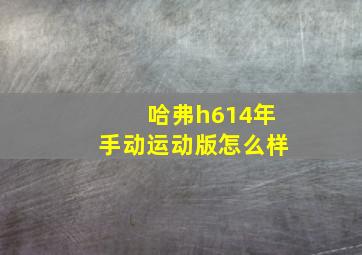 哈弗h614年手动运动版怎么样