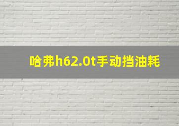 哈弗h62.0t手动挡油耗