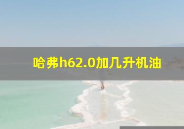 哈弗h62.0加几升机油