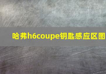 哈弗h6coupe钥匙感应区图