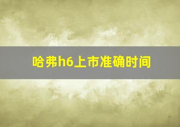 哈弗h6上市准确时间