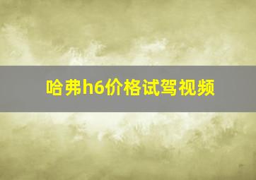 哈弗h6价格试驾视频