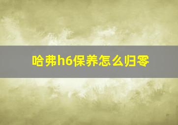 哈弗h6保养怎么归零