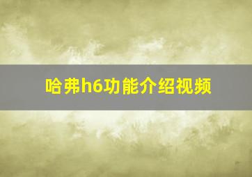 哈弗h6功能介绍视频