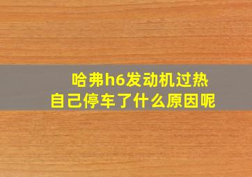 哈弗h6发动机过热自己停车了什么原因呢