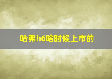 哈弗h6啥时候上市的