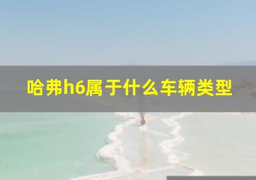 哈弗h6属于什么车辆类型