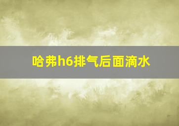 哈弗h6排气后面滴水