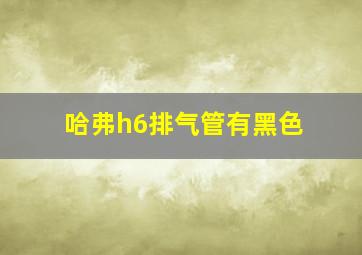 哈弗h6排气管有黑色