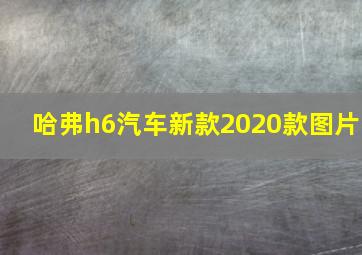 哈弗h6汽车新款2020款图片