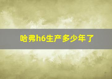 哈弗h6生产多少年了