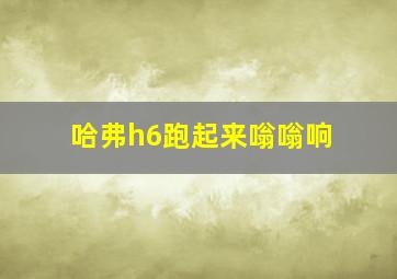 哈弗h6跑起来嗡嗡响