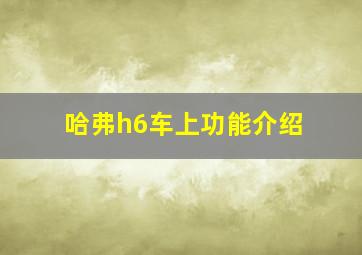 哈弗h6车上功能介绍