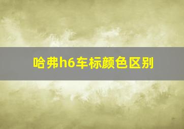 哈弗h6车标颜色区别