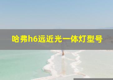 哈弗h6远近光一体灯型号