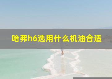 哈弗h6选用什么机油合适