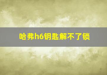 哈弗h6钥匙解不了锁