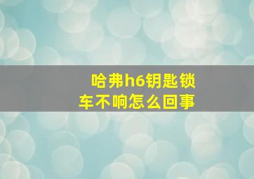 哈弗h6钥匙锁车不响怎么回事