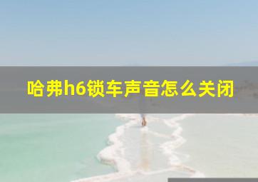 哈弗h6锁车声音怎么关闭