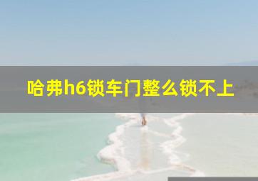 哈弗h6锁车门整么锁不上