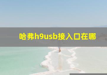 哈弗h9usb接入口在哪