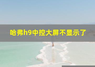 哈弗h9中控大屏不显示了