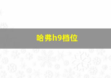 哈弗h9档位