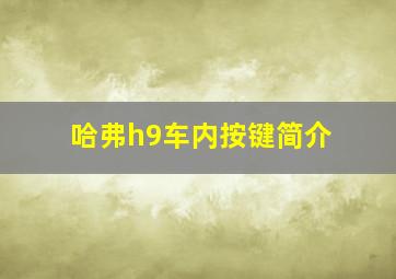 哈弗h9车内按键简介