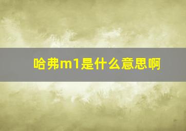 哈弗m1是什么意思啊