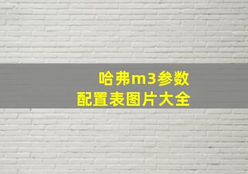 哈弗m3参数配置表图片大全