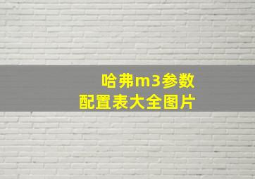 哈弗m3参数配置表大全图片