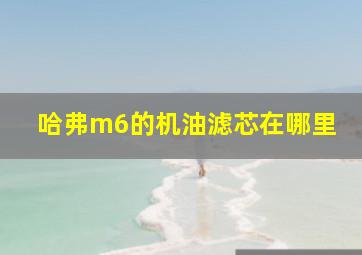 哈弗m6的机油滤芯在哪里