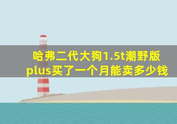 哈弗二代大狗1.5t潮野版plus买了一个月能卖多少钱