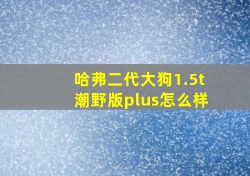 哈弗二代大狗1.5t潮野版plus怎么样