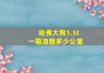 哈弗大狗1.5t一箱油跑多少公里