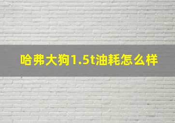 哈弗大狗1.5t油耗怎么样