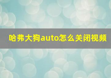 哈弗大狗auto怎么关闭视频