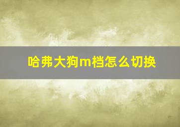 哈弗大狗m档怎么切换